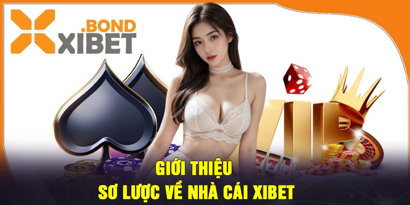 Giới thiệu sơ lược về nhà cái Xibet