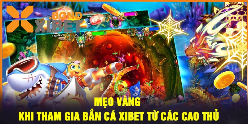 Mẹo vàng khi tham gia bắn cá Xibet từ các cao thủ